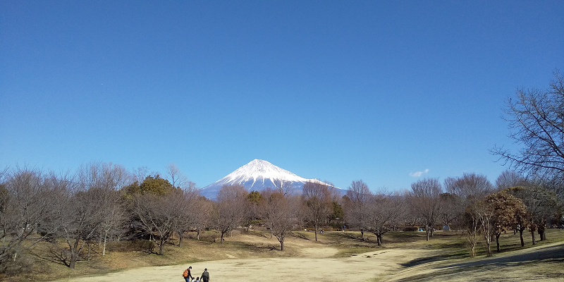 岩本山公園